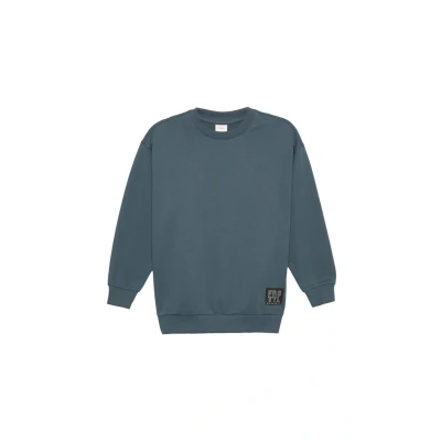 Abbildung von s.Oliver MIT BÜNDCHEN UND Logopatch Sweatshirt für Kinder, Größe: 170/176, Schiefergrau