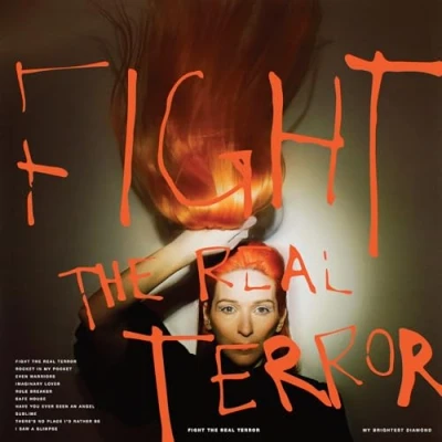 Abbildung von Fight the Real Terror