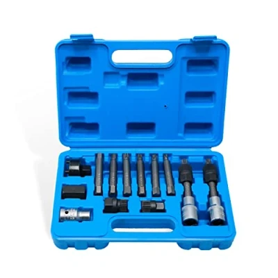 Abbildung von CCLIFE 13tlg Lichtmaschinen Werkzeug Satz 12.5 mm 1/2&quot; Antrieb Bit Freilauf Wechsel Steckschlüssel für diverse Fahrzeuge