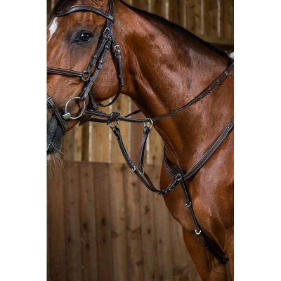 Abbildung von Dyon Martingale fork Working By