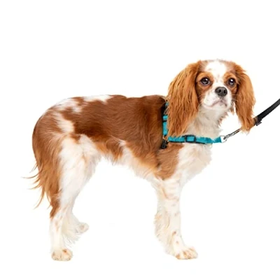 Abbildung von PetSafe Easy Walk Deluxe Anti Zieh Geschirr, Verringert Würgen und Husten, Mit Reflektoren ausgestattet, Größe S, Blau