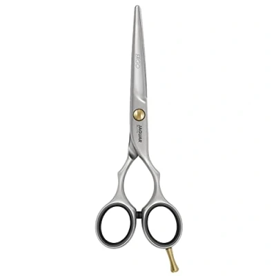 Abbildung von JAGUAR Haarschere PRE STYLE ERGO 5.0&quot; Friseurschere im Classic Design mattiert Made in Germany