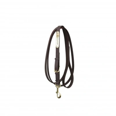 Abbildung von Kentucky Presentation Lead Brown