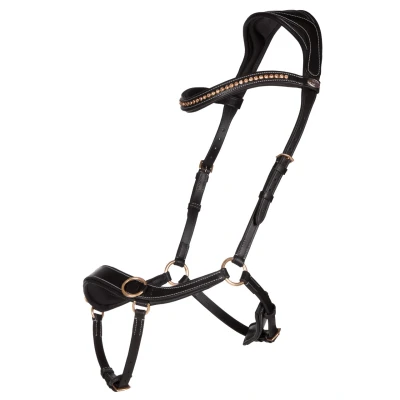 Abbildung von QHP Bitless Bridle Anatomical