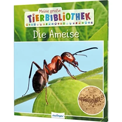 Abbildung von Meine große Tierbibliothek: Die Ameise: Sachbuch für Vorschule &amp; Grundschule