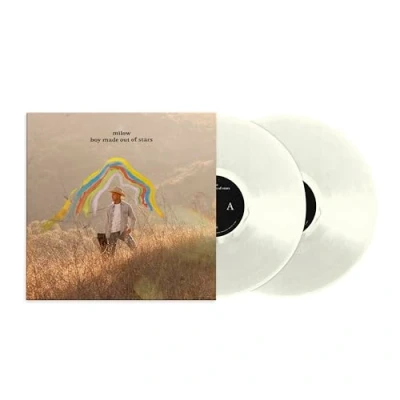 Abbildung von Boy Made Out of Stars [Vinyl LP]