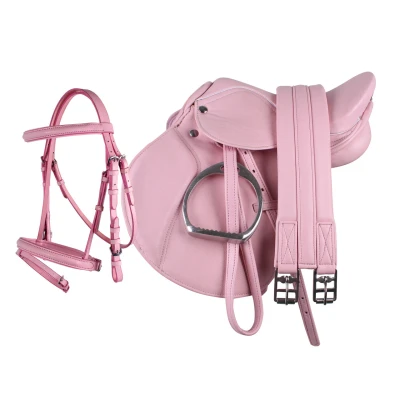 Abbildung von QHP Complete saddle set