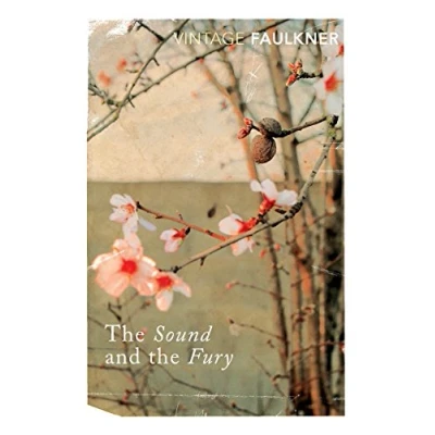 Abbildung von the Sound and Fury: With an introduction by Richard Hughes (Vintage classics)