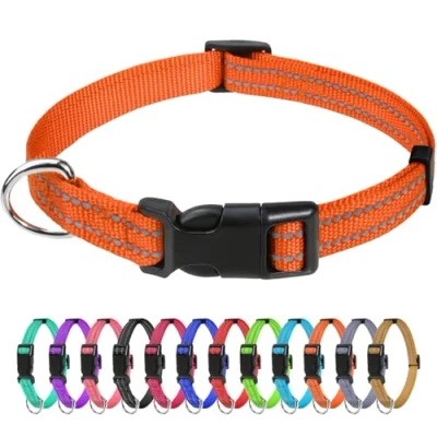 Abbildung von TagME Nylon Hundehalsband, Verstellbares Reflektierendes Hundehalsband mit Sicherheitsschnalle für Welpen, Orange, 1.0cm Breite
