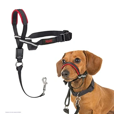 Abbildung von HALTI Optifit Kopfgeschirr, Größe Klein Verhindert, dass Ihr Hund an der Leine zieht, Einfache Anpassung, Leicht, mit gepolstertem Nasenriemen, Anti Zug Halsband für kleine Hunde