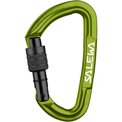 Abbildung von SALEWA HOT G3 SCREW CARABINER, FLUO GREEN