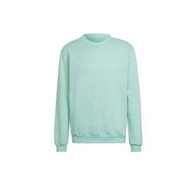 Abbildung von adidas Performance Entrada Sweatshirt, Herren, Größe: Large, Turquoise