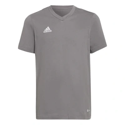 Abbildung von adidas Unisex ENT22 Tee Y T Shirt, Team Grey Four, 7 Jahre