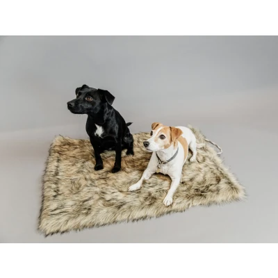 Abbildung von Kentucky Dog Bed Fuzzy Blanket To Go