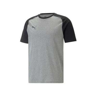 Abbildung von Puma TEAM CUP FußballTrikot, Herren, Größe: Small, Grau