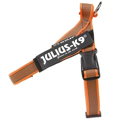 Abbildung von Julius K9, Color &amp; Gray, Beltgeschirr