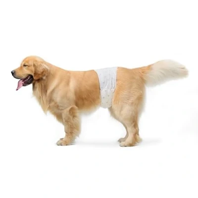 Abbildung von Amazon Basics Hundewindel für Rüden, Einwegwindeln, Größe L, Weiß, 30 Stück