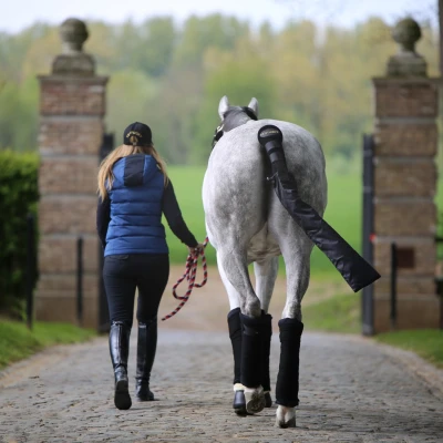 Abbildung von Kentucky tail guard &amp; bag