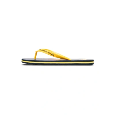 Abbildung von Quiksilver Molokai Stripe 25 Badezehentrenner, Herren, Größe: 42, Bsw6 Kunststoff