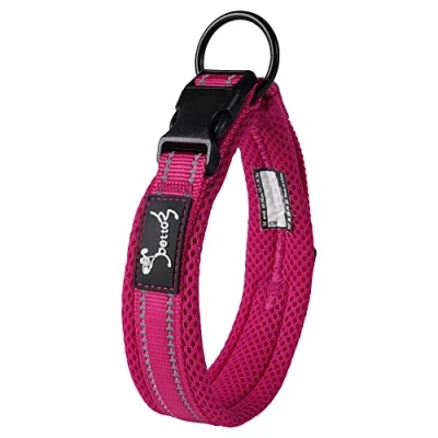 Abbildung von PETTOM Hundehalsband Verstellbare Nylon Hunde Halsband Atmungsaktives Reflektierend (Rose XS)