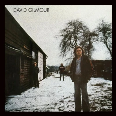 Abbildung von David Gilmour