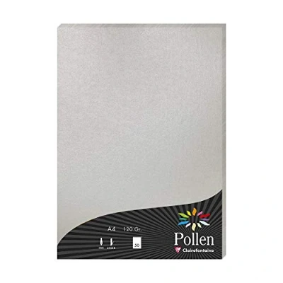 Abbildung von Clairefontaine 4199C Packung mit 50 Blatt Pollen, DIN A4, 210 x 297 mm, 120g, Silber