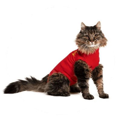 Abbildung von Medical Pet Shirt Katze S (43 51 cm)