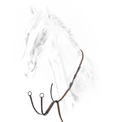 Abbildung von Equiline Martingale