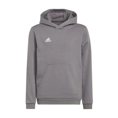 Abbildung von adidas Performance Entrada 22 Kapuzenpullover, Größe: 116, Team grey