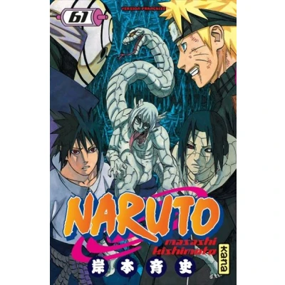 Abbildung von Naruto, Tome 61