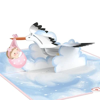 Abbildung von papercrush® Pop Up Karte Baby Geburt Mädchen 3D Geburtskarte oder Geldgeschenk, Glückwunsch zum Baby, Glückwunschkarte zur der Tochter Handgemachte Geschenkkarte, Babykarte mit Storch