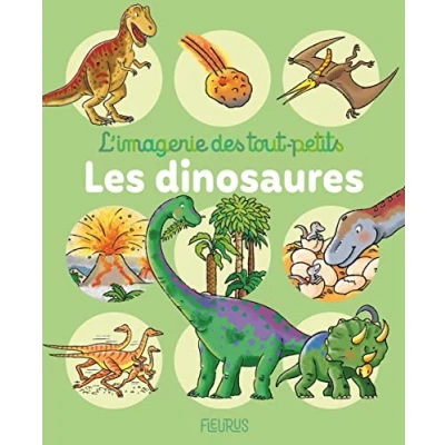 Abbildung von Mes annees pourquoi/Les dinosaures