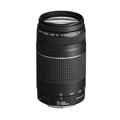 Abbildung von Canon 6473A003(AA) fix Objektiv EF DC 4,0 5, 6/75 300 III