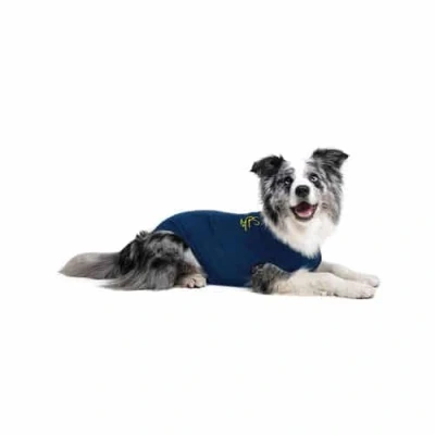 Abbildung von Medical Pet Shirt Hund M (55 cm)
