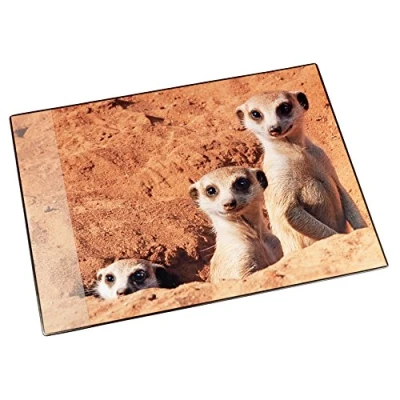 Abbildung von Läufer 46596 Schreibtischunterlage Erdmännchen, 53x40 cm, rutschfeste Schreibunterlage für Kinder, Zubehör Kinderschreibtisch, mit transparenter Seitentasche