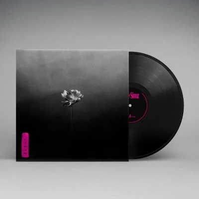Abbildung von Lotus (2 LP)