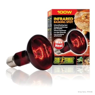 Abbildung von Exo Terra Daylight Basking Spot Nano, Tageslichtlampe, für den Gebrauch im Reptile Dome 25W, Fassung E27, 1 Stück (1er Pack), Silber