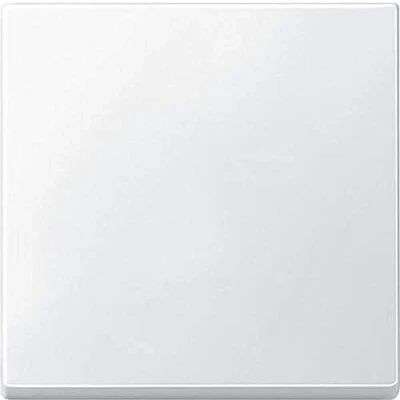 Abbildung von Schneider Electric Merten Wippe für Schalter, System M, polarweiss, Artikelnummer 434119