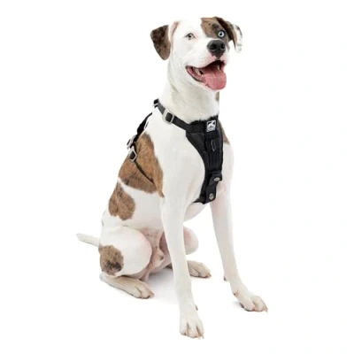 Abbildung von Kurgo Tru Fit Hundegeschirr, Crash Test erprobtes Auto Sicherheitsgurt, Für Hunde von 2 bis 5 kg, Größe M, Schwarz