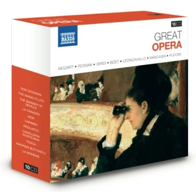 Abbildung von Große Opern Naxos Jubiläumsbox