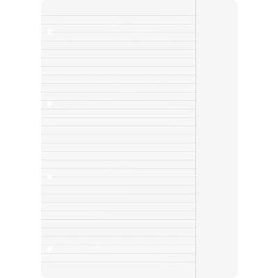 Abbildung von Brunnen 1066945 Ringbucheinlagen A4 (liniert mit Rand, Lineatur 25, 100 Blatt, 70 g/m²), weiß
