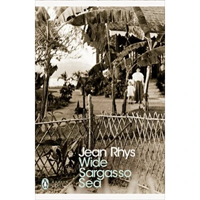 Abbildung von Wide Sargasso Sea: Jean Rhys (Penguin Modern Classics)