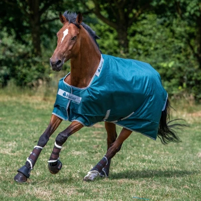 Abbildung von Bucas Atlantic Turnout