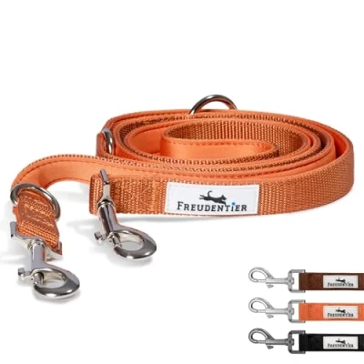 Abbildung von FREUDENTIER Hundeleine 2m Verstellbare Führleine Weich gepolstert, liegt angenehm in der Hand Robuste Leine Hund für mittelgroße &amp; große Hunde Model Clyde (Orange, Länge / 25mm Breite)