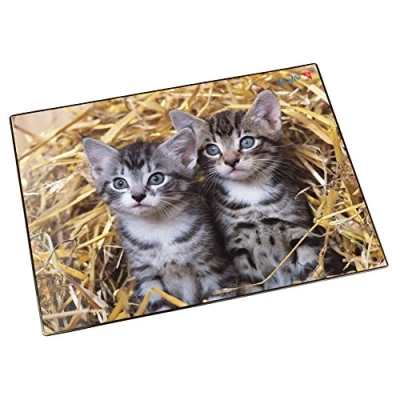 Abbildung von Läufer 46637 Schreibtischunterlage Katzen im Stroh, 53x40 cm, rutschfeste Schreibunterlage für Kinder, Zubehör Kinderschreibtisch, mit transparenter Seitentasche