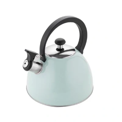 Abbildung von FLORINA Wasserkessel (2,5 l) I Edelstahl Teekessel BRILLO Flötenkessel mit Bakelitgriff Kratzfester Wasserkocher für Induktionsherd, Gasherd und Elektroherd Farbe: Minze