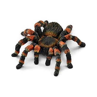 Abbildung von schleich 14829 Vogelspinne, für Kinder ab 3+ Jahren, WILD LIFE Spielfigur