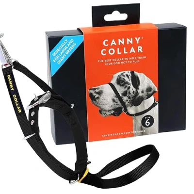 Abbildung von Canny Dog Collar Black Größe 6
