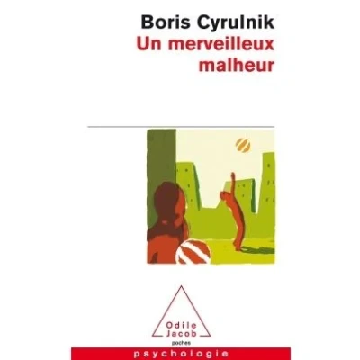 Abbildung von Un merveilleux malheur