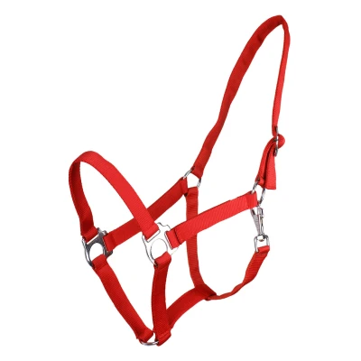 Abbildung von Q essentials Halter Slide